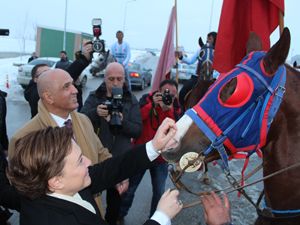 Bakan Sarı, ilk atlı kızak keyfini Erzurum'da yaşadı