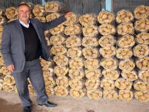 Pasinler Patatesi Erzurum'da SYDV'lerce dağıtıldı