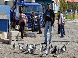Erzurum'da zabıta kuş uçurtmadı