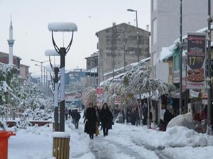 Doğu Anadolu'da 411 köy yolu kardan kapandı