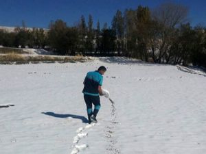 Büyükşehir'den yaban hayata destek