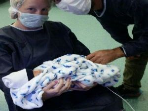 Hastanede dehşet: Yeni doğan bebeğin kulağı koptu