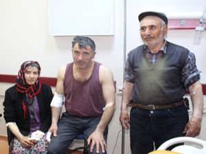 Erzurum'da kurt köylülere saldırdı: 4 yaralı