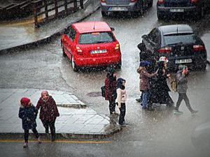 Erzurum'da meteorolojik uyarı