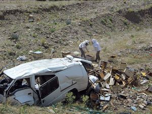Erzurum'da kaza yapan araçtaki arılar korku saçtı
