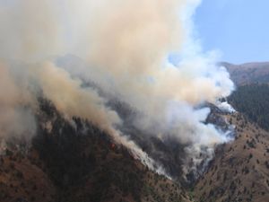 Oltu'da orman yangınında 20 hektar alan kül oldu