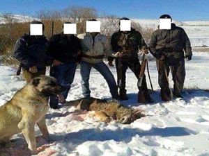 Erzurum'da kaçak avcılara ceza yağdı