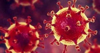 14 Nisan koronavirüs tablosu açıklandı