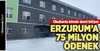 218 okul doğalgaza kavuşuyor