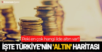 Altın mevduat haritası çıktı