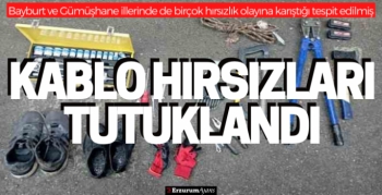 Aşkale'de kablo hırsızları yakalandı