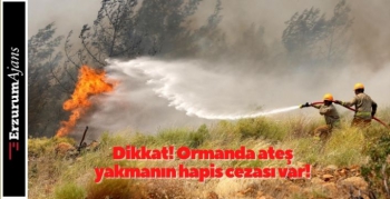 Bayramda piknik ateşine dikkat!
