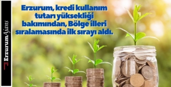 Bir ayda 19,1 milyar lira kredi kullanıldı