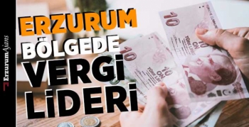Bölgede lider!