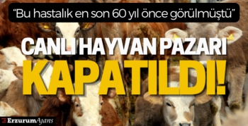 Canlı hayvan pazarı şap virüsü nedeniyle kapatıldı