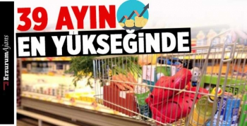 Ekonomik güven endeksi arttı