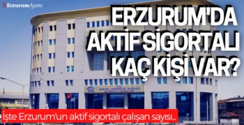  Erzurum'da 164 bin 833 aktif sigortalı çalışan var