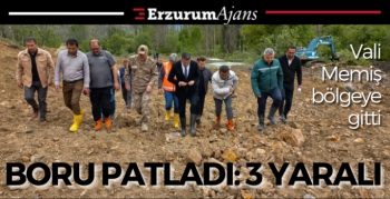 Erzurum'da heyelan yol kapattı