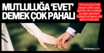 Evet demenin maliyeti arttı