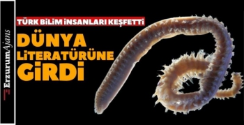 İki yeni deniz canlısı keşfedildi!