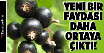 Kanseri önleyen meyve!