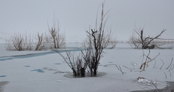 Kars'ın soğuğu baraj dondurdu