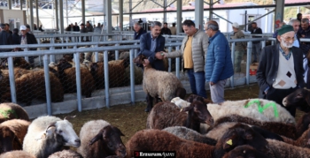 Küçükbaş kurbanlıklara ilgi daha fazla