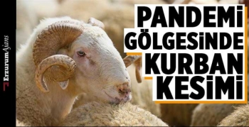 Kurban Bayramı öncesi uzmanlardan uyarı!