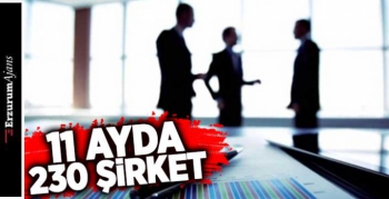 Kurulan şirket sayısında düşüş 