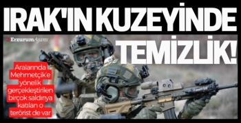 MSB'den nokta operasyon: PKK'lı terörist etkisiz!