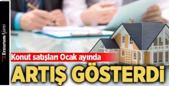 Ocak ayına ilişkin konut satış istatistikleri açıklandı