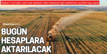 Ödemeler başlıyor! Çiftçilerin yüzü gülecek