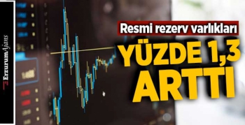 Resmi rezerv varlıkları Kasım'da arttı