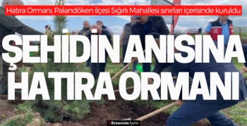 Şehidin hatırasına bin ağaç