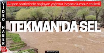 Tekman'da sağanak yağış derelerin taşmasına neden oldu