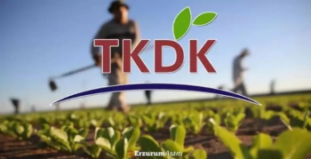 TKDK'dan yatırımcıya yüzde 50-80 oranında geri ödemesiz destek