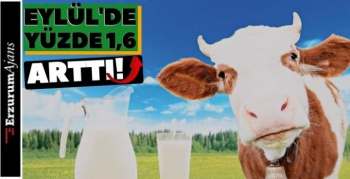 Toplanan inek sütü miktarında artış!