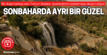 Tortum Şelalesi sonbaharın büyüsüne kapıldı