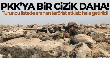 Turuncu listede aranan terörist etkisiz hale getirildi