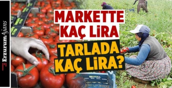Üretici değil, satıcı kazanıyor