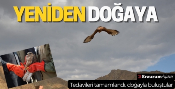 Yeniden kanat çırptılar