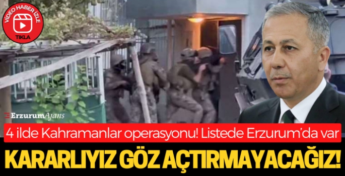 'Kahramanlar' operasyonlarında 24 terör örgütü üyesi yakalandı
