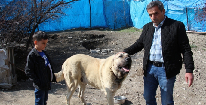 Köpek dile geldi; Benim adım Ejder