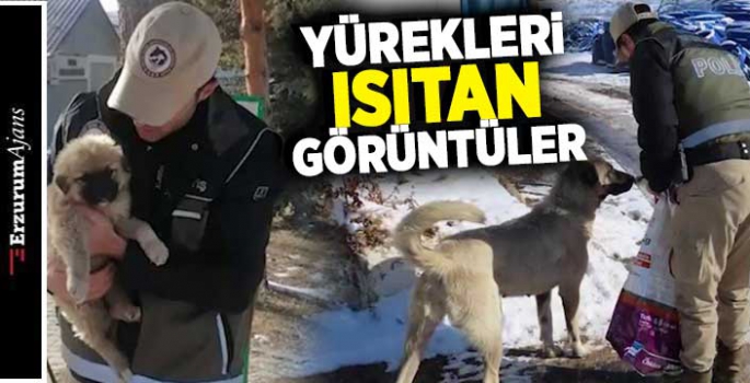 Polis ekipleri yaban hayvanlarını unutmadı