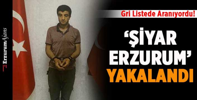 'Şiyar Erzurum' yakalandı