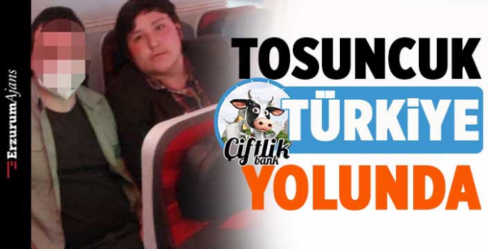 'Tosuncuk' Türkiye'ye getiriliyor