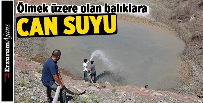 10 bin balık için köy halkı seferber oldu