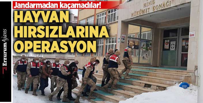 19 küçükbaş hayvanı çalan 7 kişi yakalandı