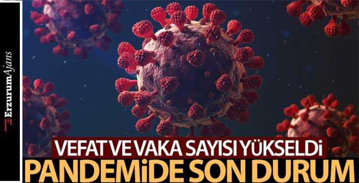 236 vefat sayısı 