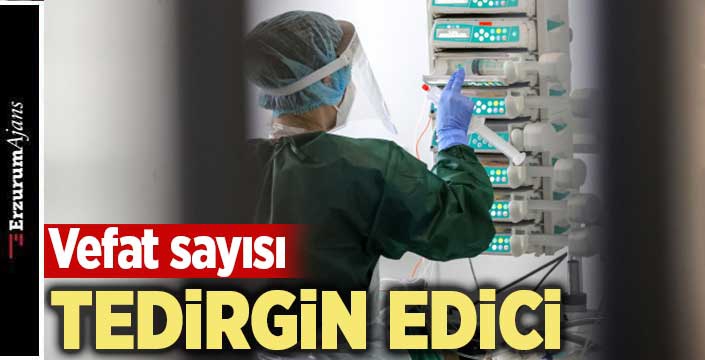 309 vefat sayısı 